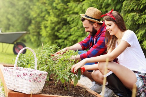 Banner image of community garden in Wood Green with gardening tools