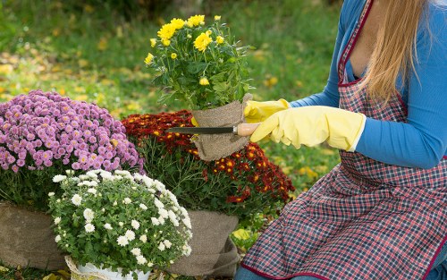 Community garden scene with recycling bins and gardeners